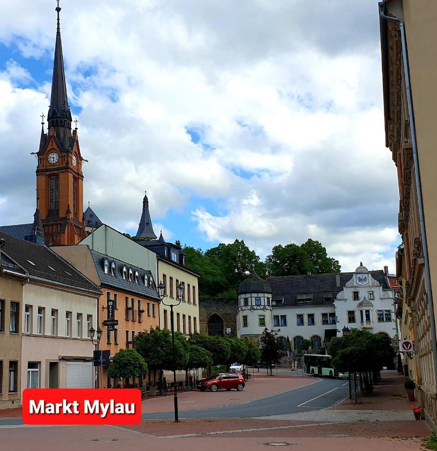 FEWO Blick Mylau 80m2 - Nähe Freizeitpark Plohn&Göltzschtalbrücke - Ruhige Lage - Wald - Wandern - Rad fahren Reichenbach im Vogtland Exterior foto