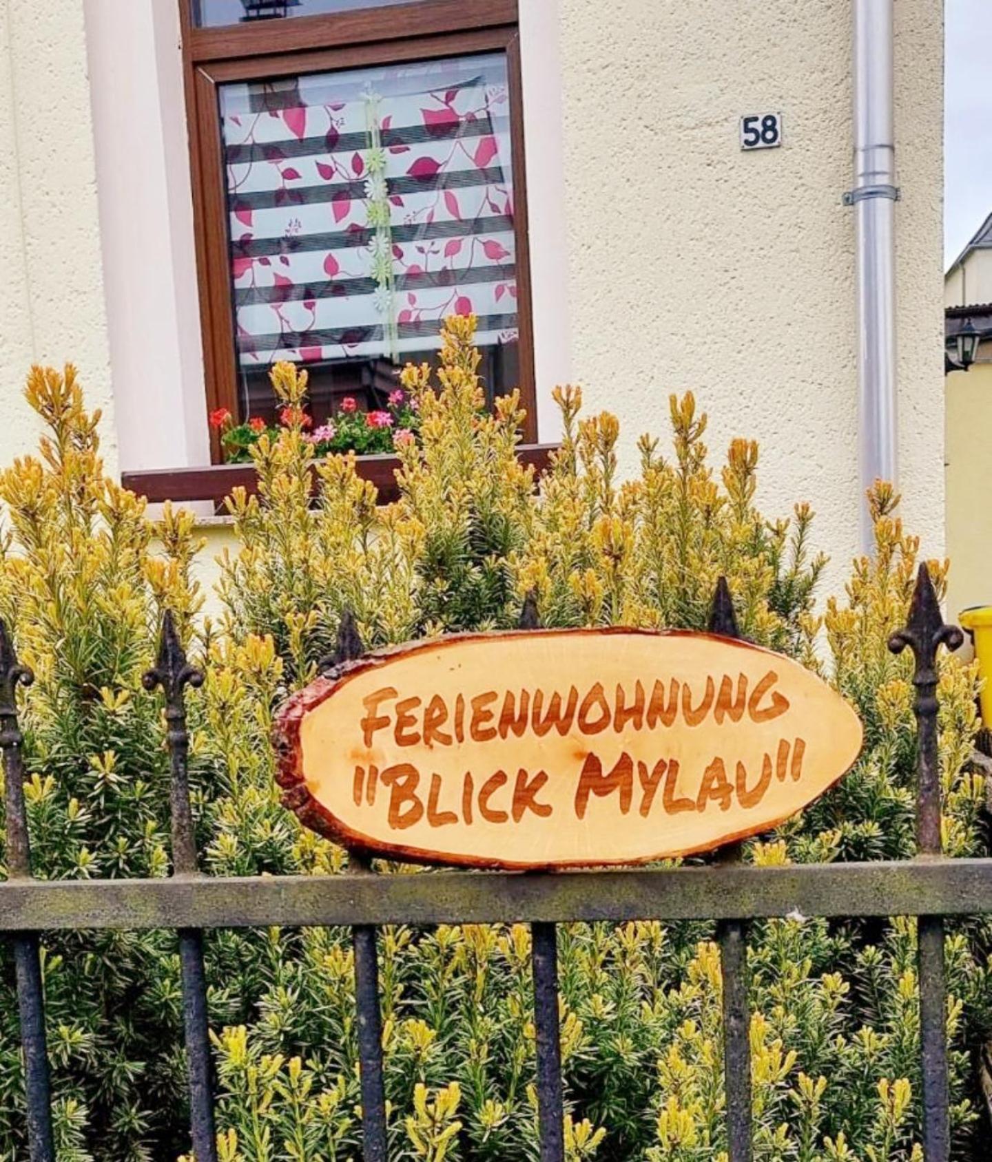 FEWO Blick Mylau 80m2 - Nähe Freizeitpark Plohn&Göltzschtalbrücke - Ruhige Lage - Wald - Wandern - Rad fahren Reichenbach im Vogtland Exterior foto